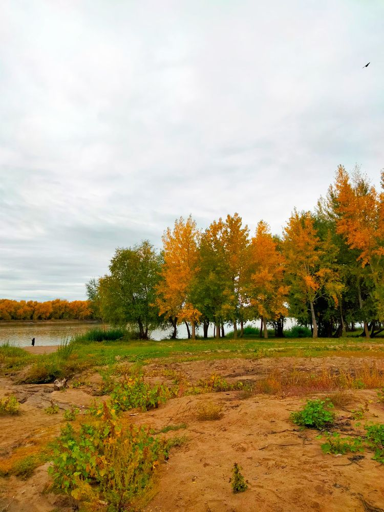 Фотография автора Динара Каймиденова