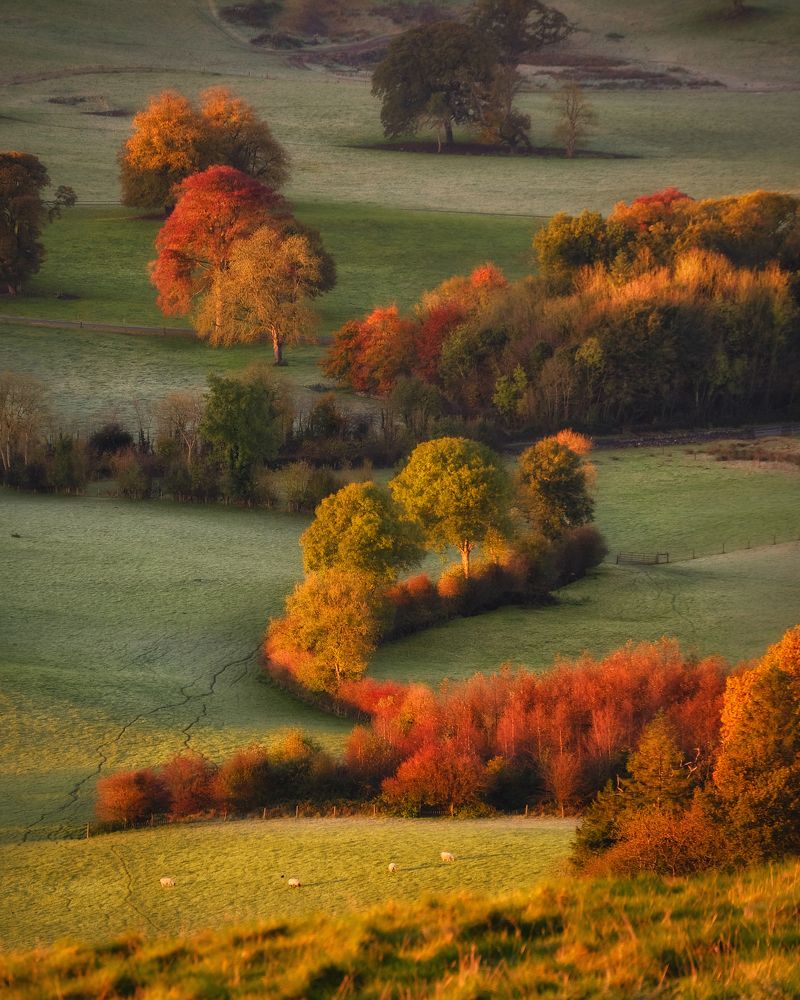 Фотография автора Kanstantsin Markevich