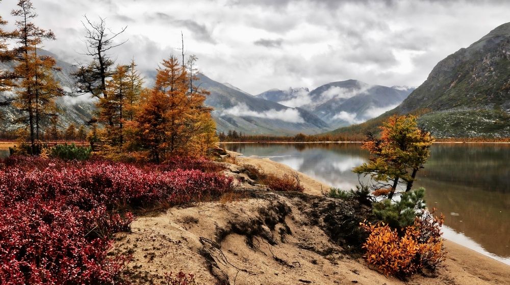 Фотография автора Leonid Golubkov