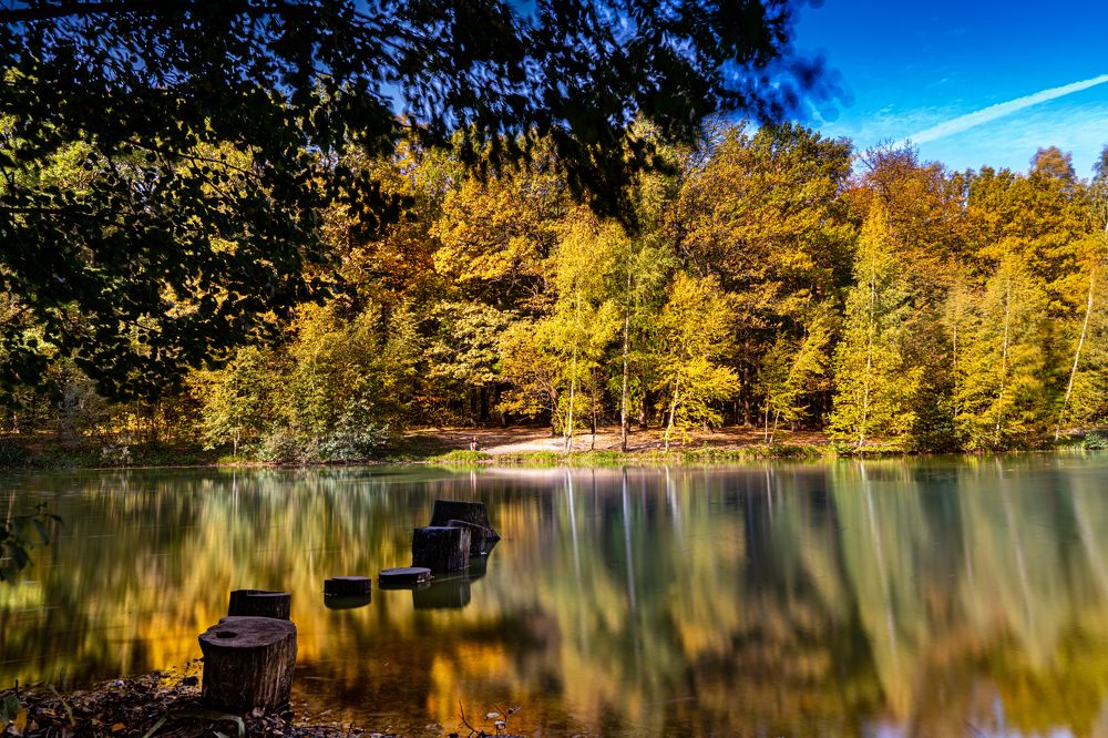 Photograph by Николай Фонарёв