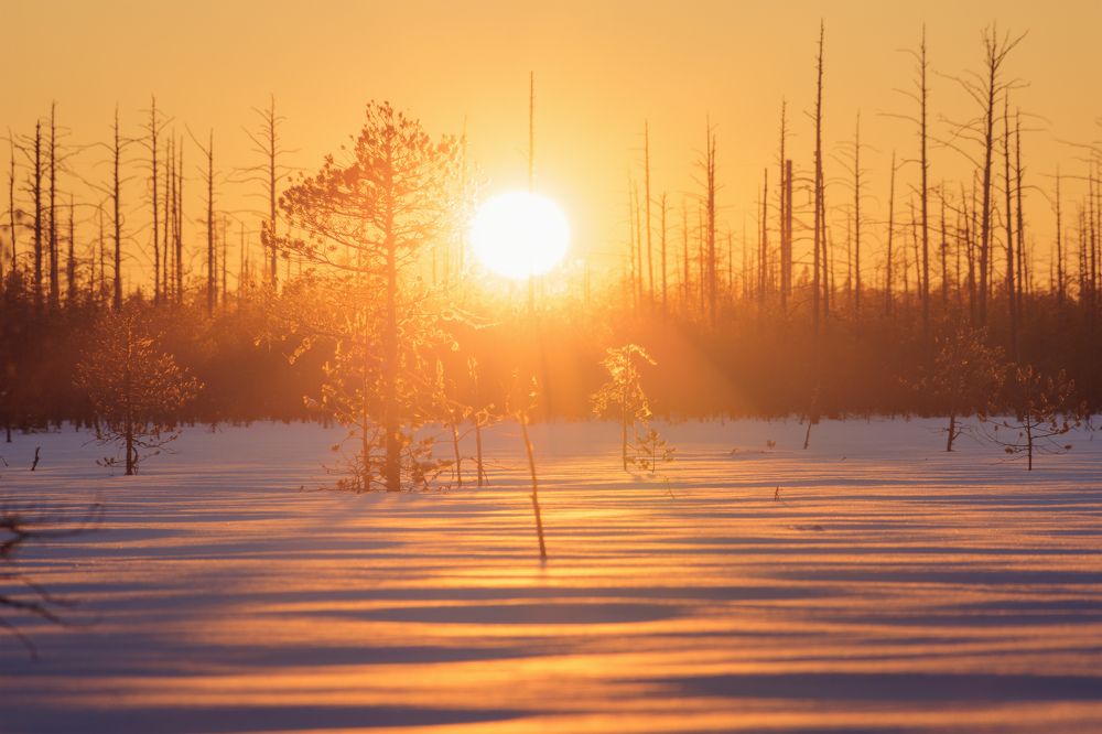 Photograph by Чаланов Иван