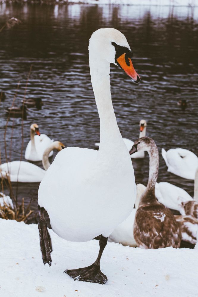 Photograph by Евгений Белов