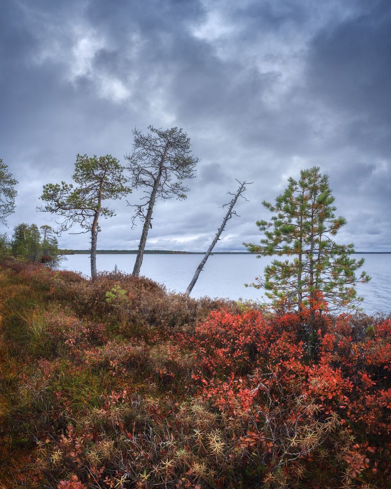 Photograph by Чаланов Иван