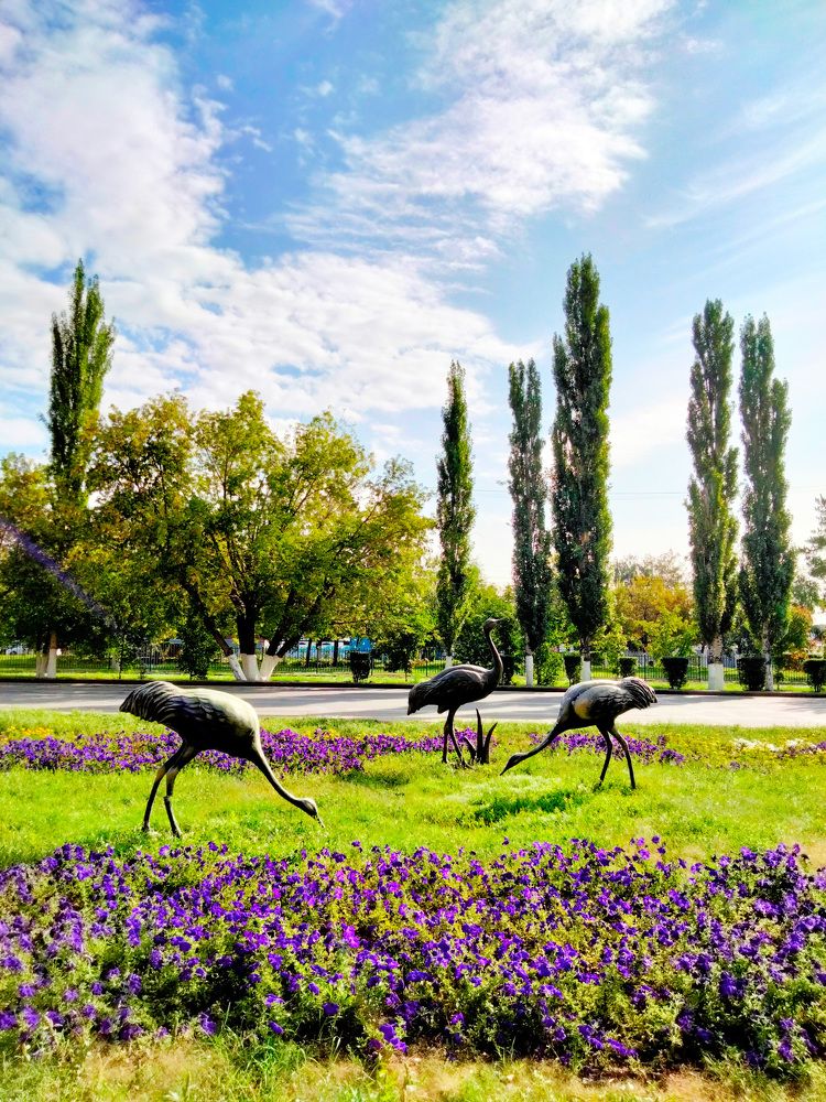 Фотография автора Динара Каймиденова