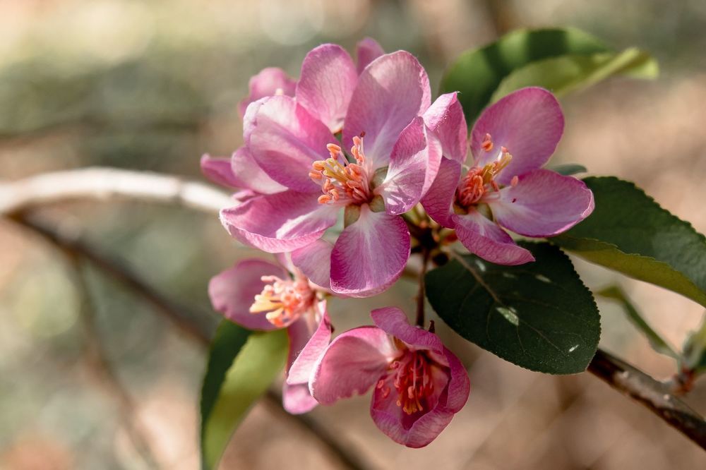 Photograph by Кермен Манджиева