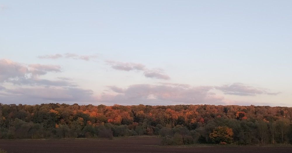 Photograph by Андрей Ахапкин