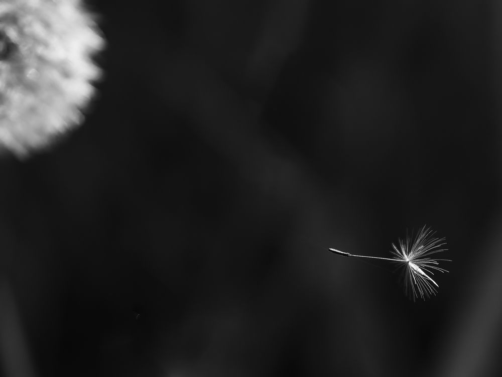 Photograph by kaja gogood