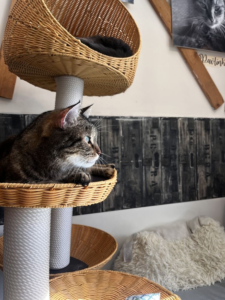 Photograph by Alina Tsilyk