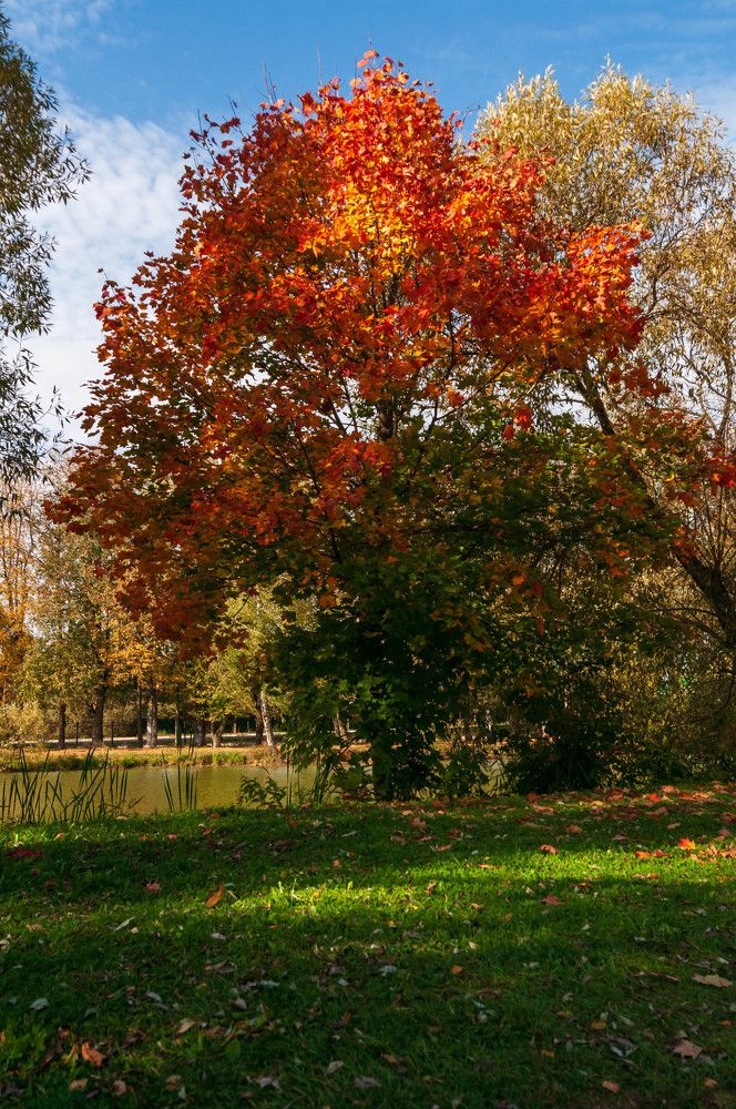 Фотография автора Виталий Дузь