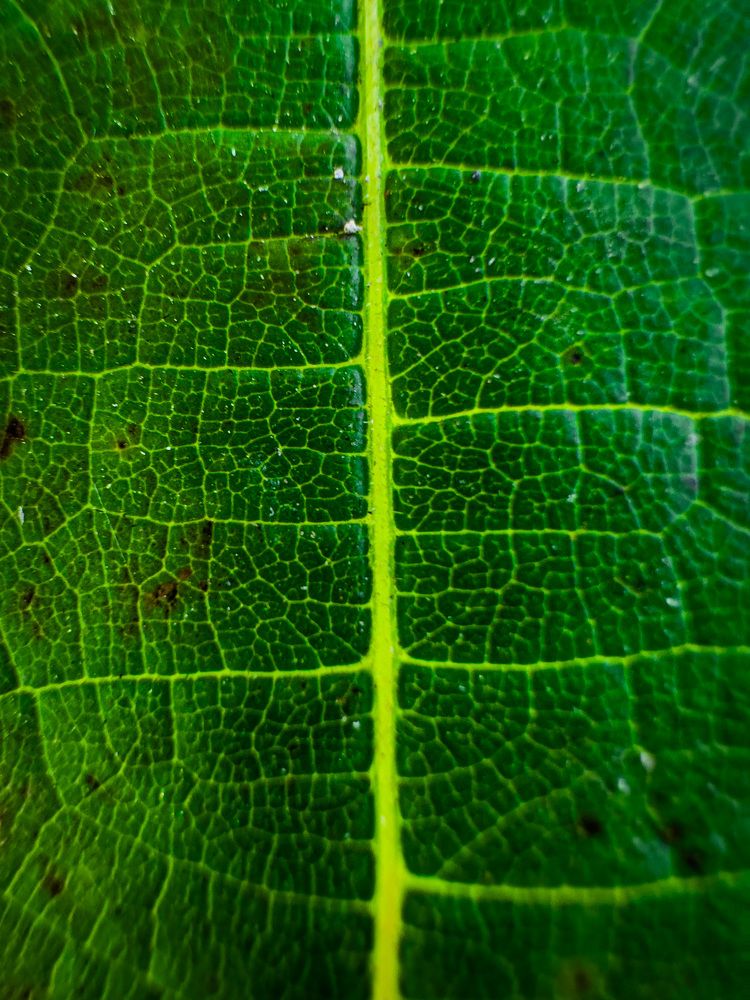 Photograph by Evgenia Privalova