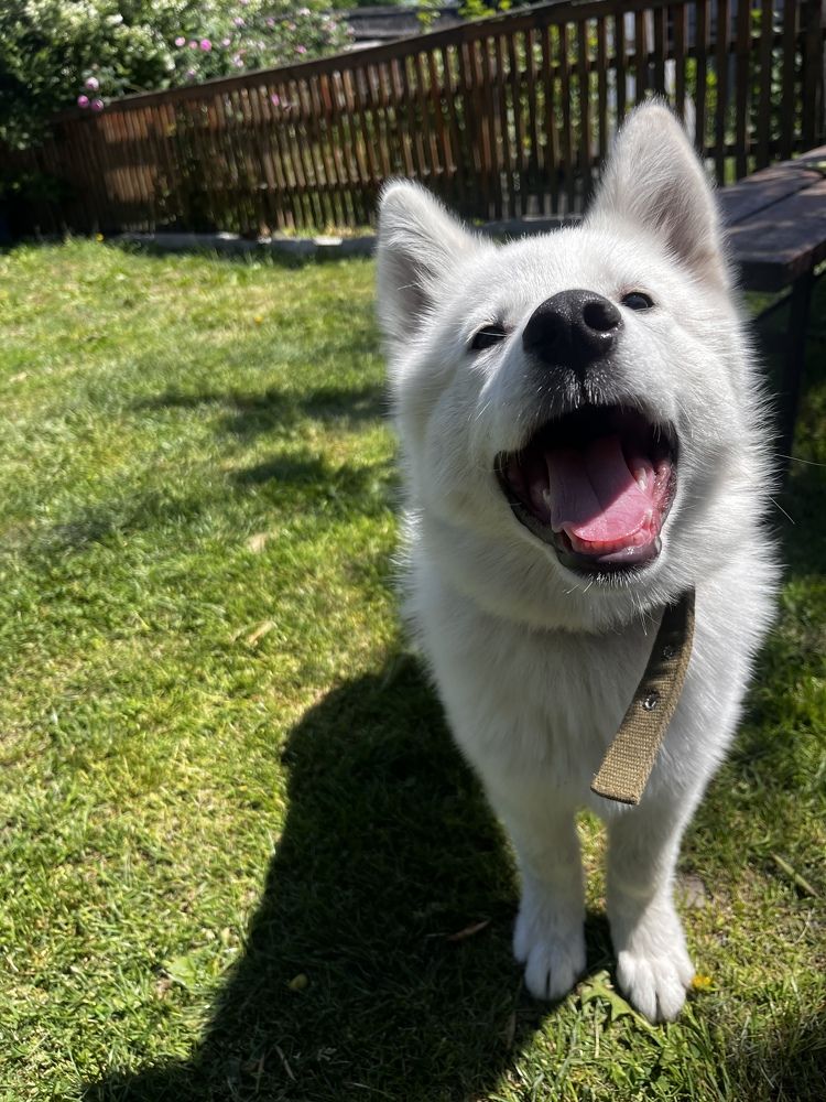 Photograph by Alina Tsilyk