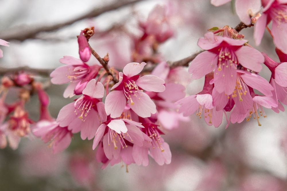 Photograph by Кермен Манджиева