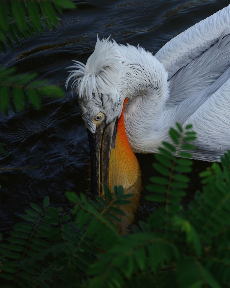 Photograph by Наталия Шляпина