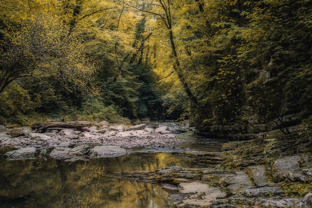 Photograph by Наталия Шляпина