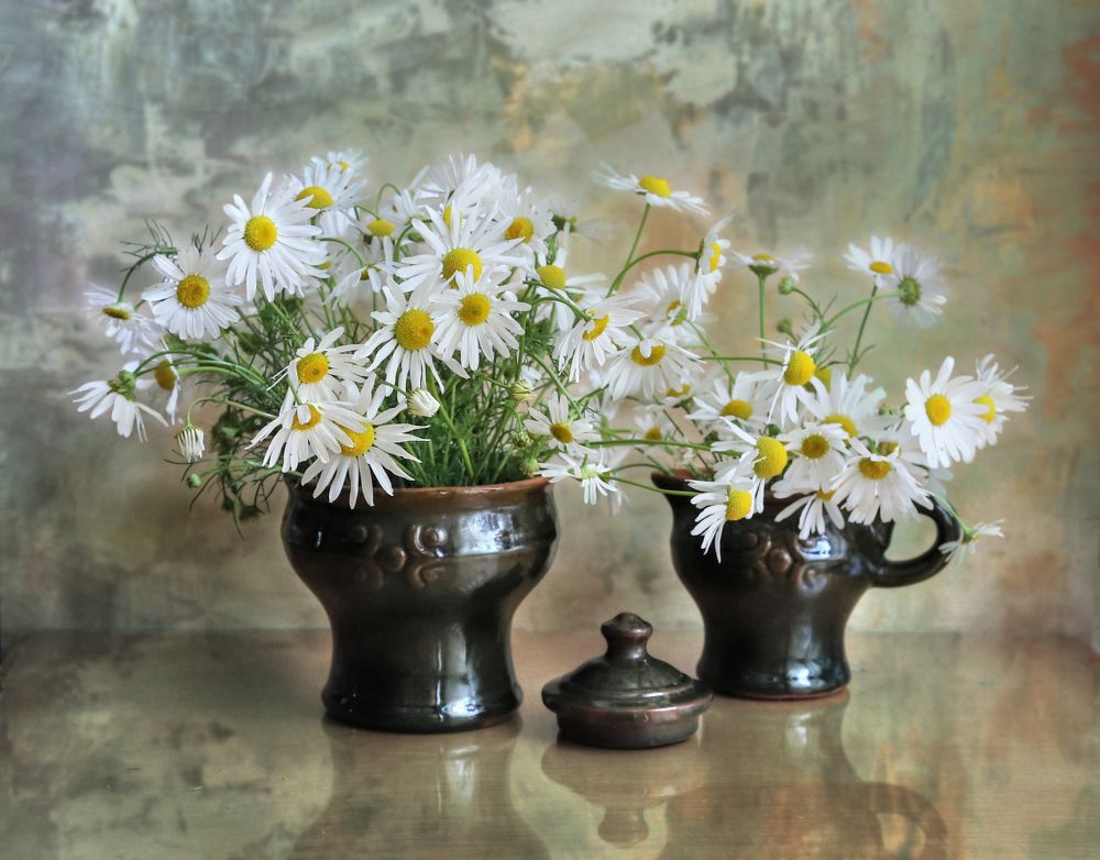 Фотография автора Светлана Бакулина