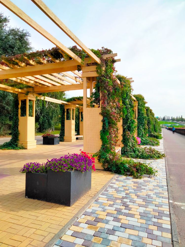 Фотография автора Динара Каймиденова