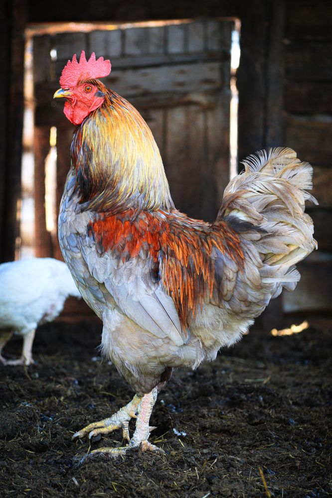 Photograph by Вася Кадочников