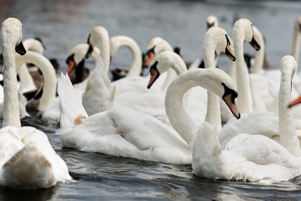 Photograph by Анастасия