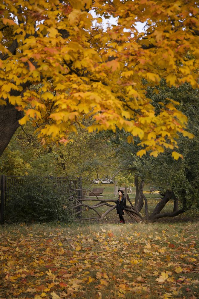 Photograph by Наталия Дударева