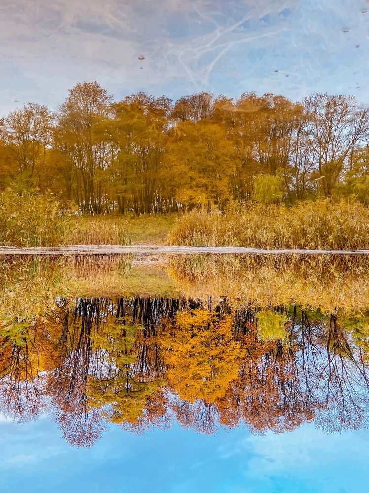 Photograph by Олена Уманцева