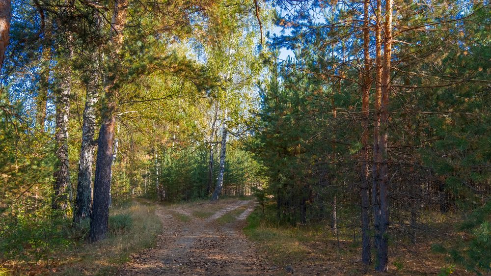 Photograph by Вячеслав