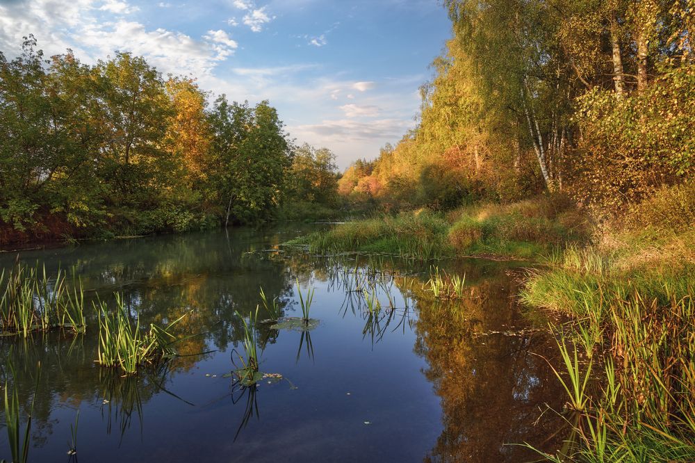 Photograph by Виталий Полуэктов