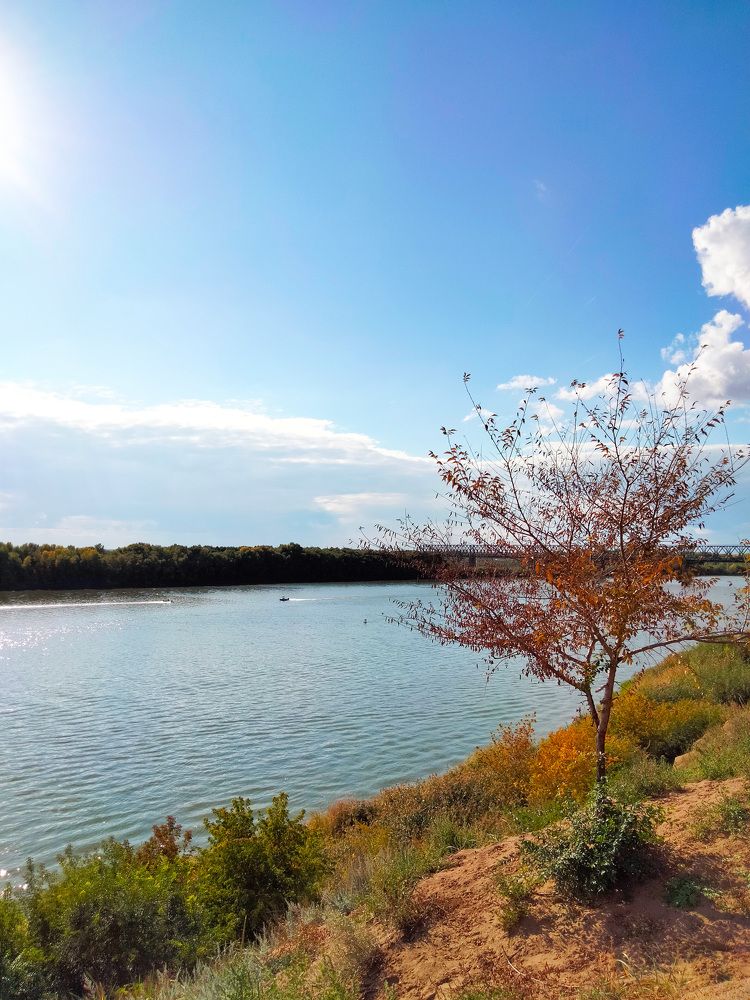 Фотография автора Динара Каймиденова