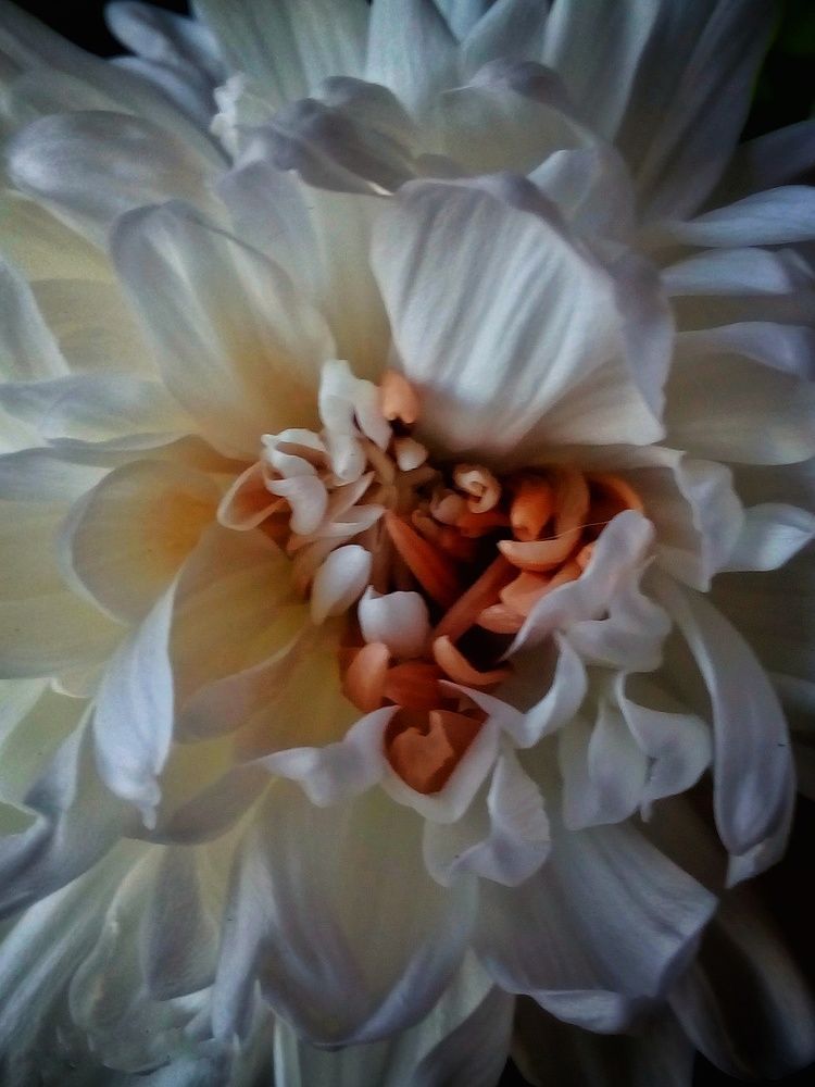 Фотография автора Евгения Зайцева