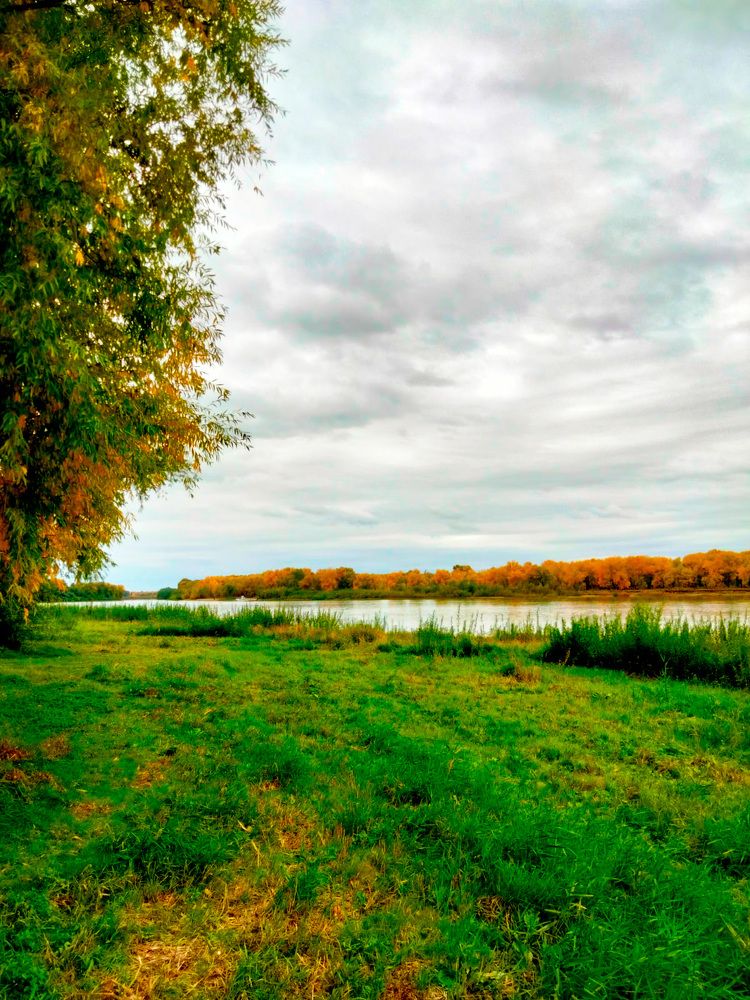 Фотография автора Динара Каймиденова