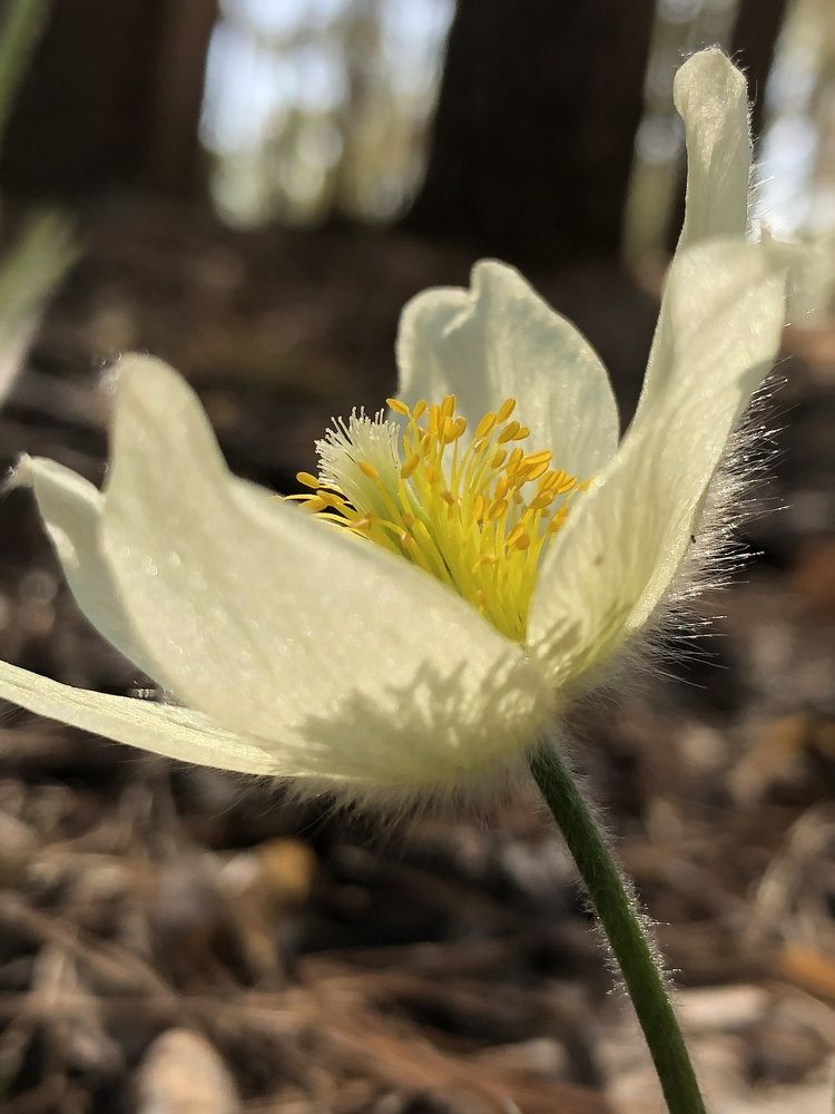 Фотография автора Евгения Елисеева