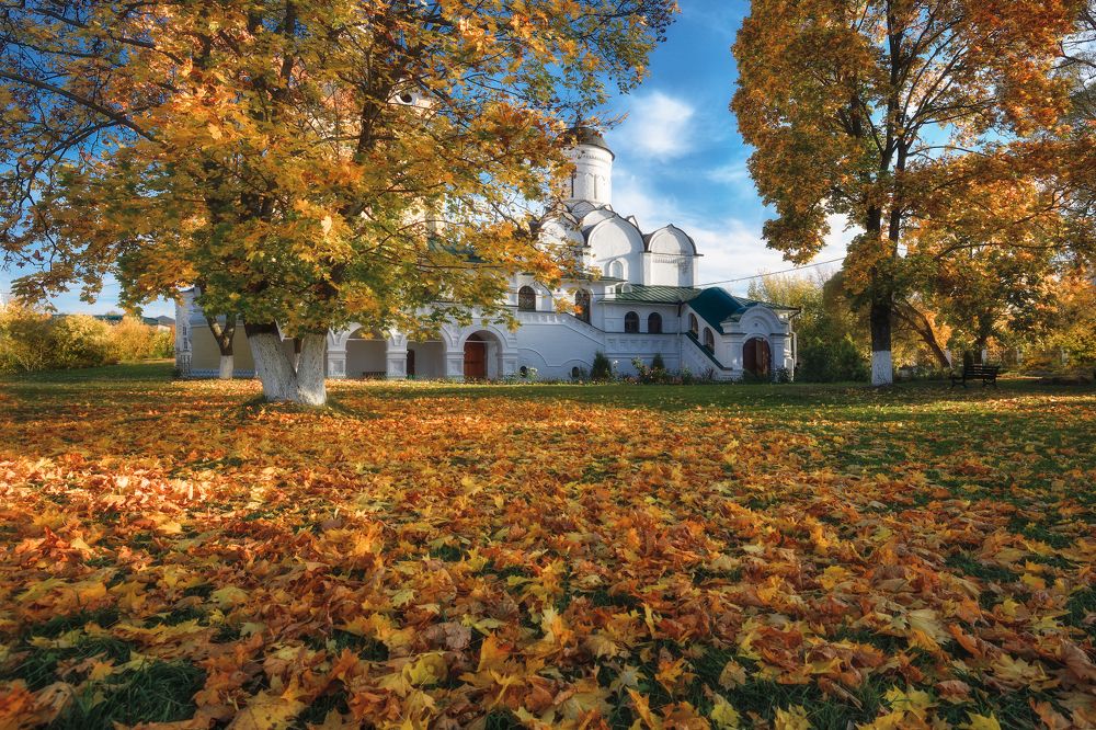 Photograph by Виталий Полуэктов