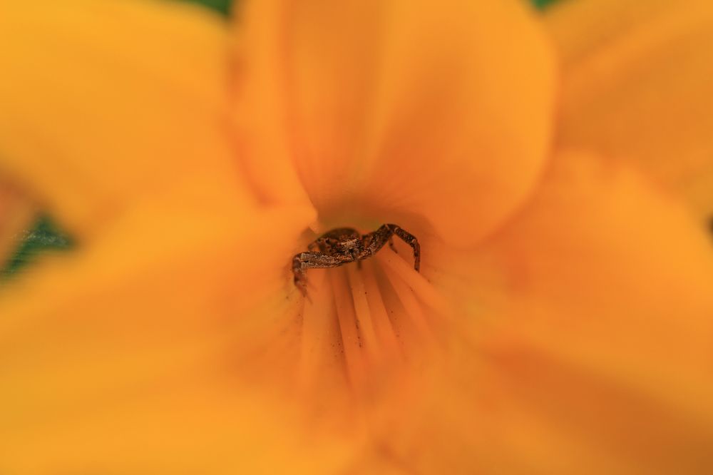 Photograph by Дина Железнова