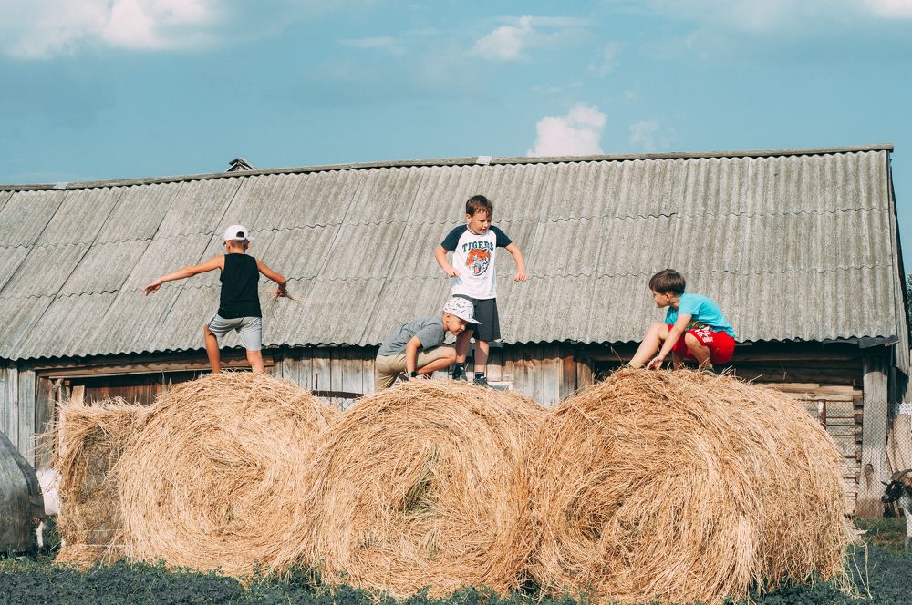 Photograph by Елена Леонидовна