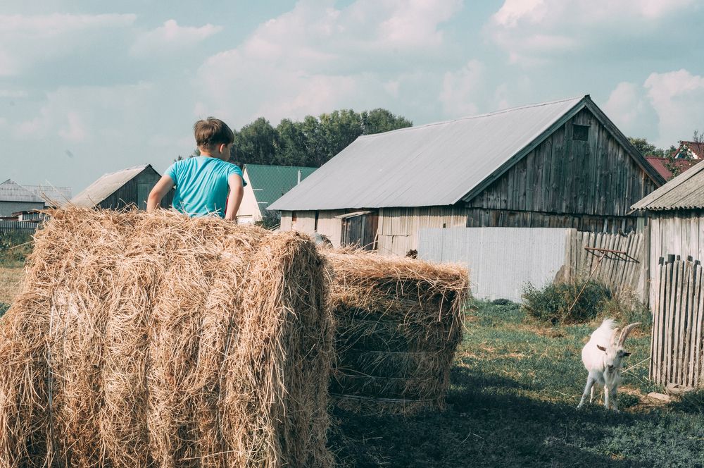 Photograph by Елена Леонидовна
