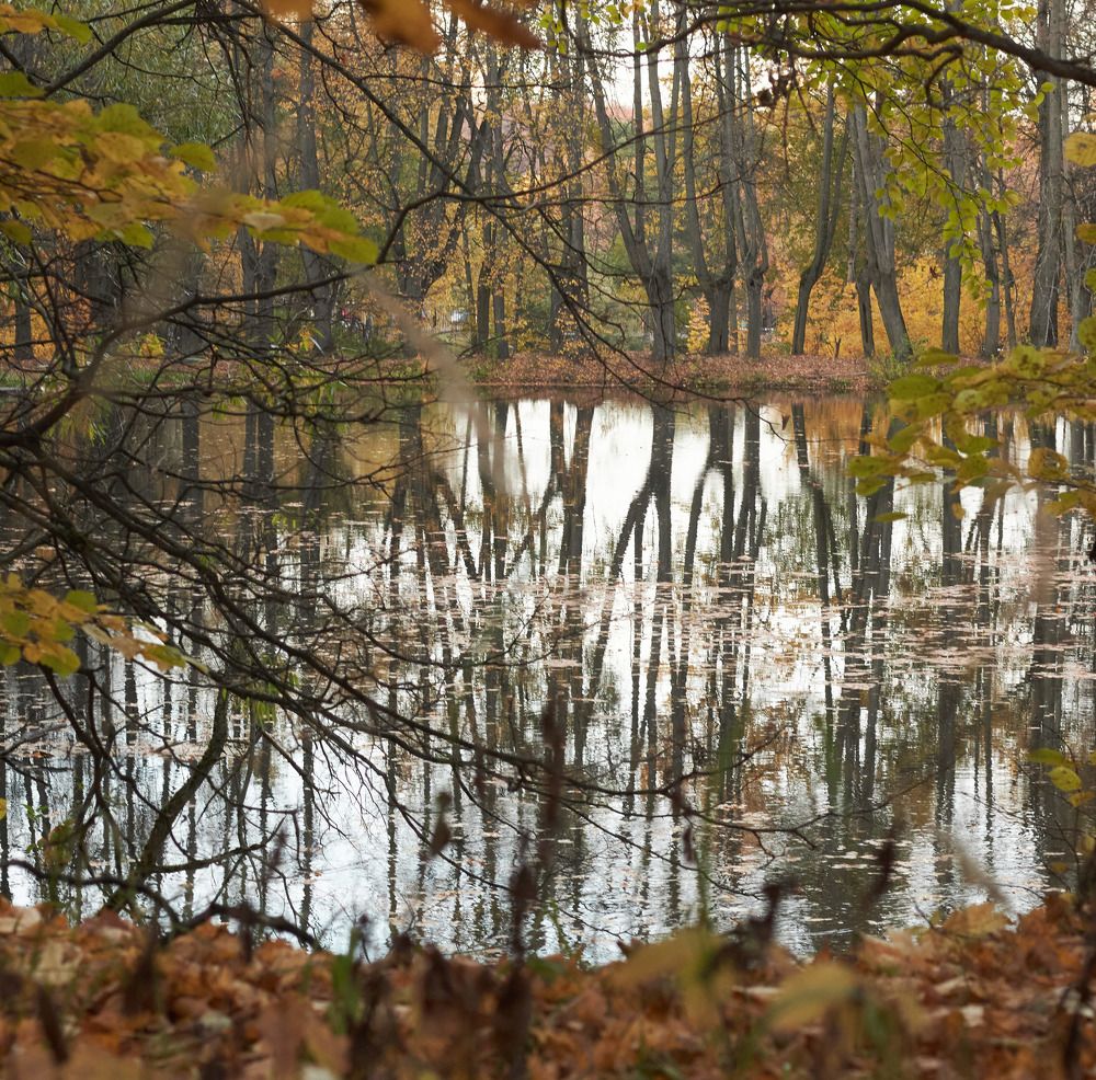 Photograph by Inna Tatarchenko