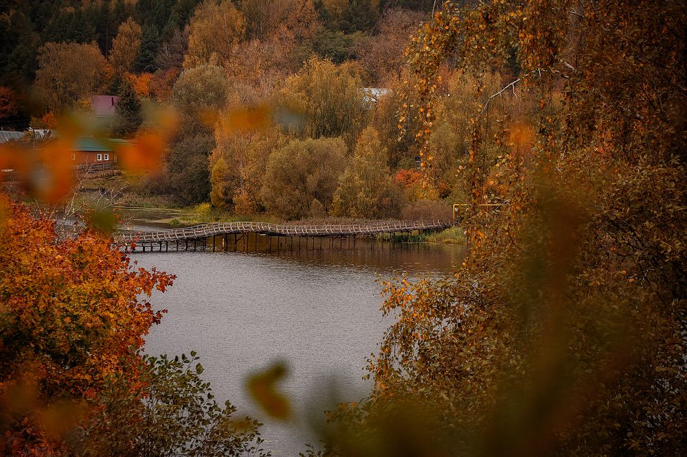 Photograph by Елена Ефимова