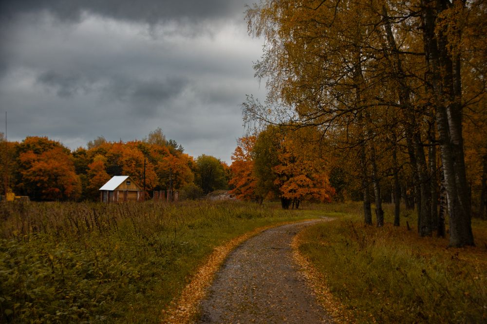 Photograph by Елена Ефимова