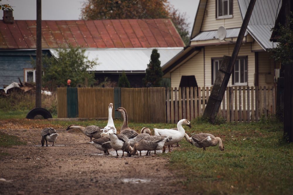 Photograph by Елена Ефимова