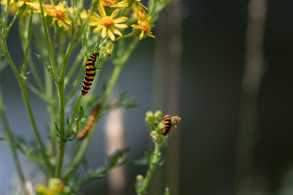 Photograph by Анастасия