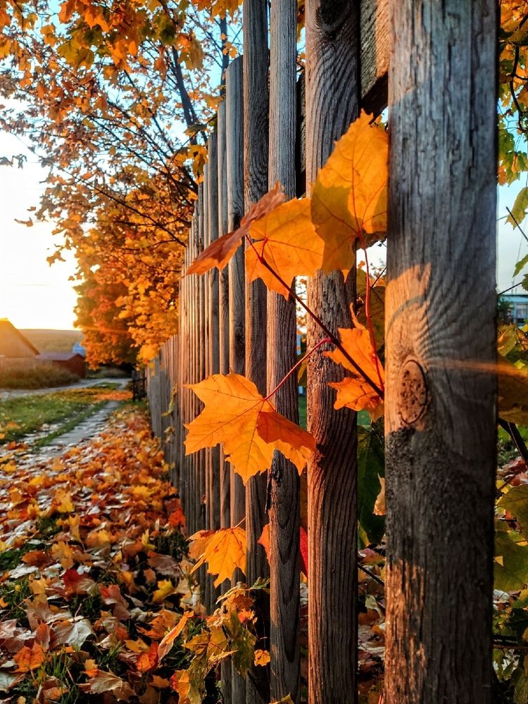 Photograph by Татьяна Какаулина