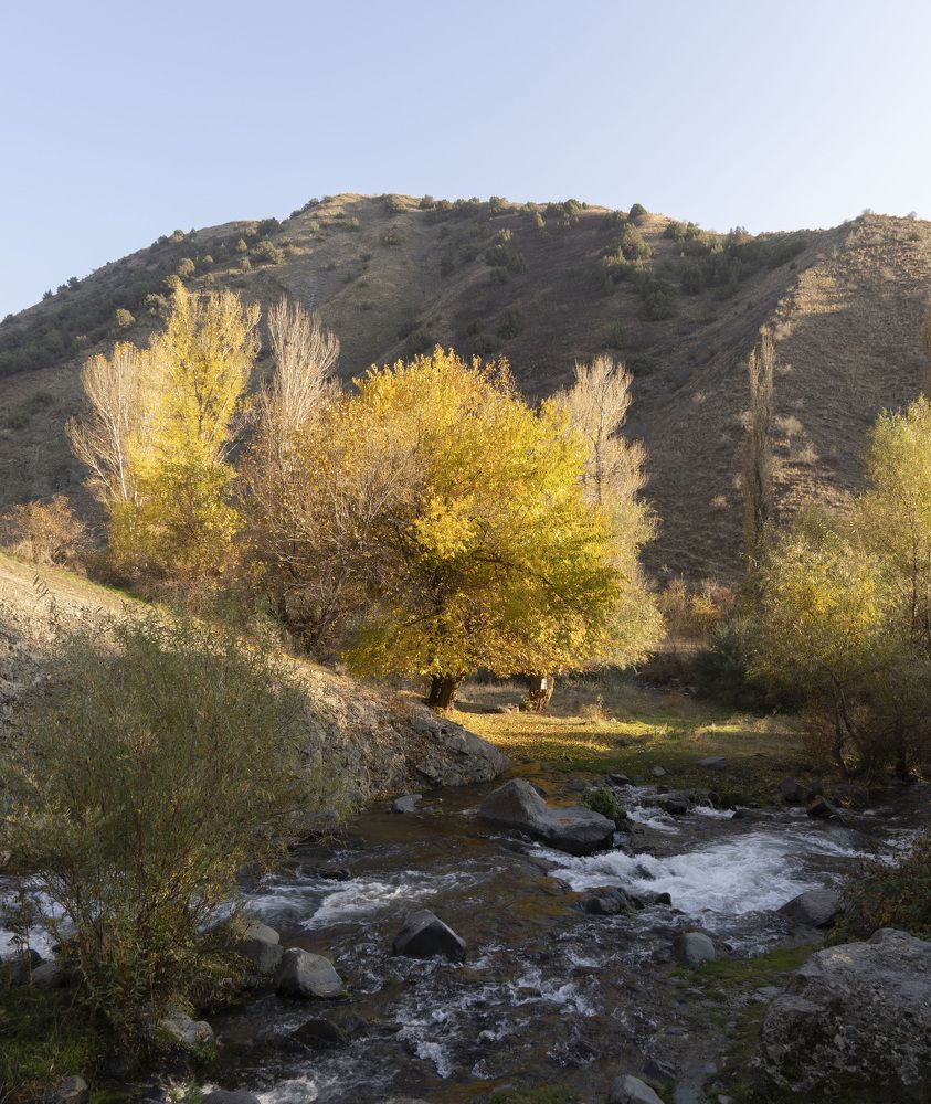 Photograph by Евгения