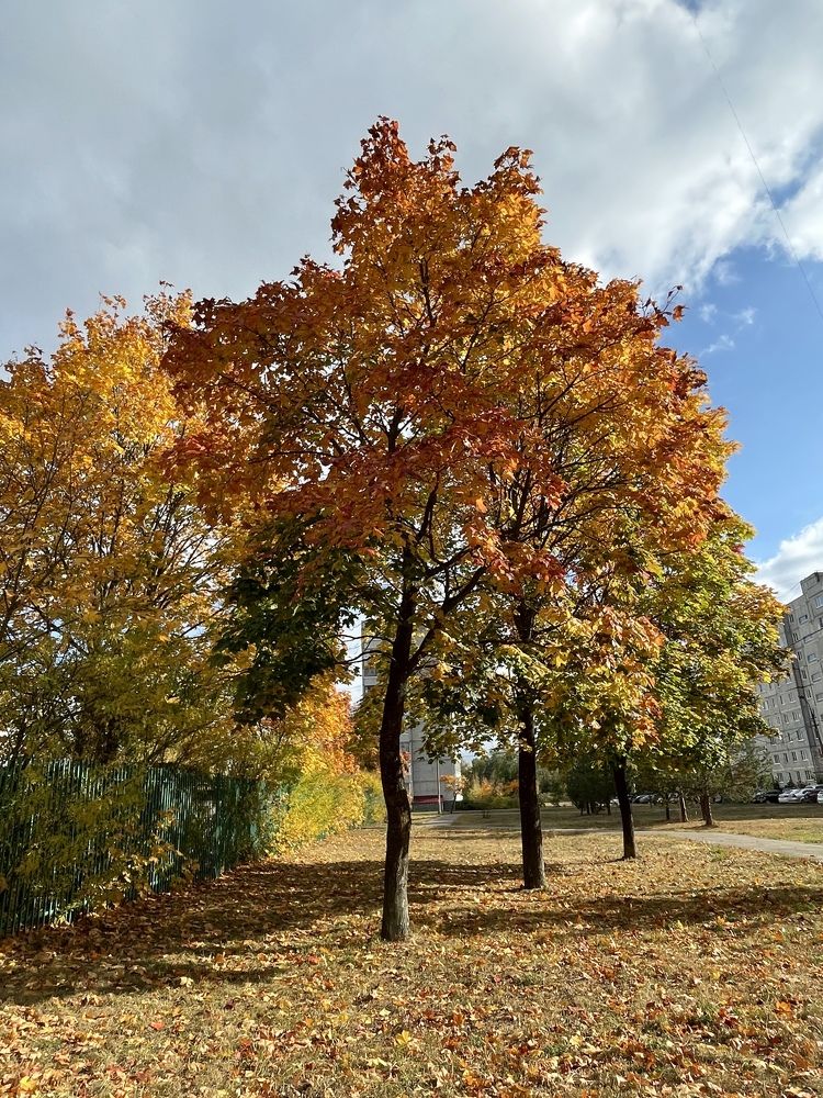 Photograph by Лавренева Алла