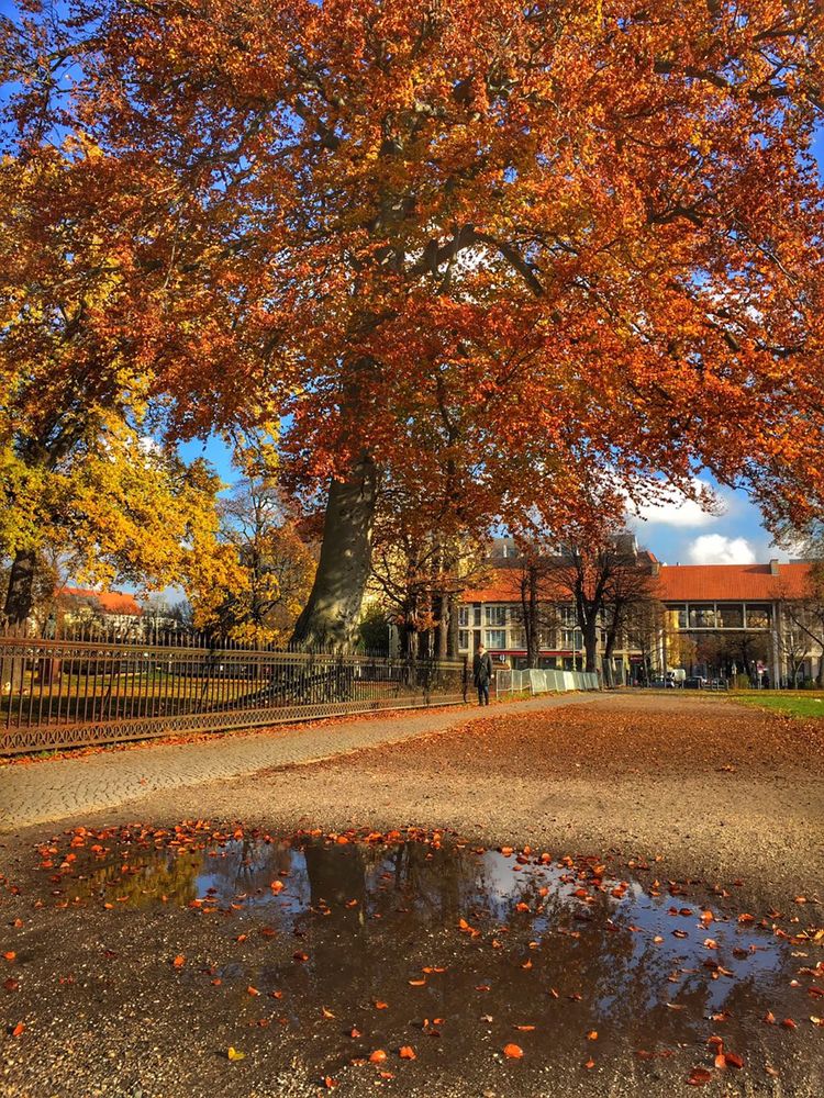 Photograph by Ira Wind