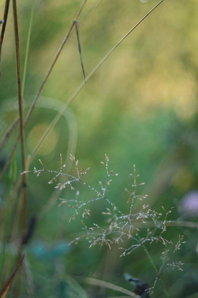 Photograph by Татьяна Сурова