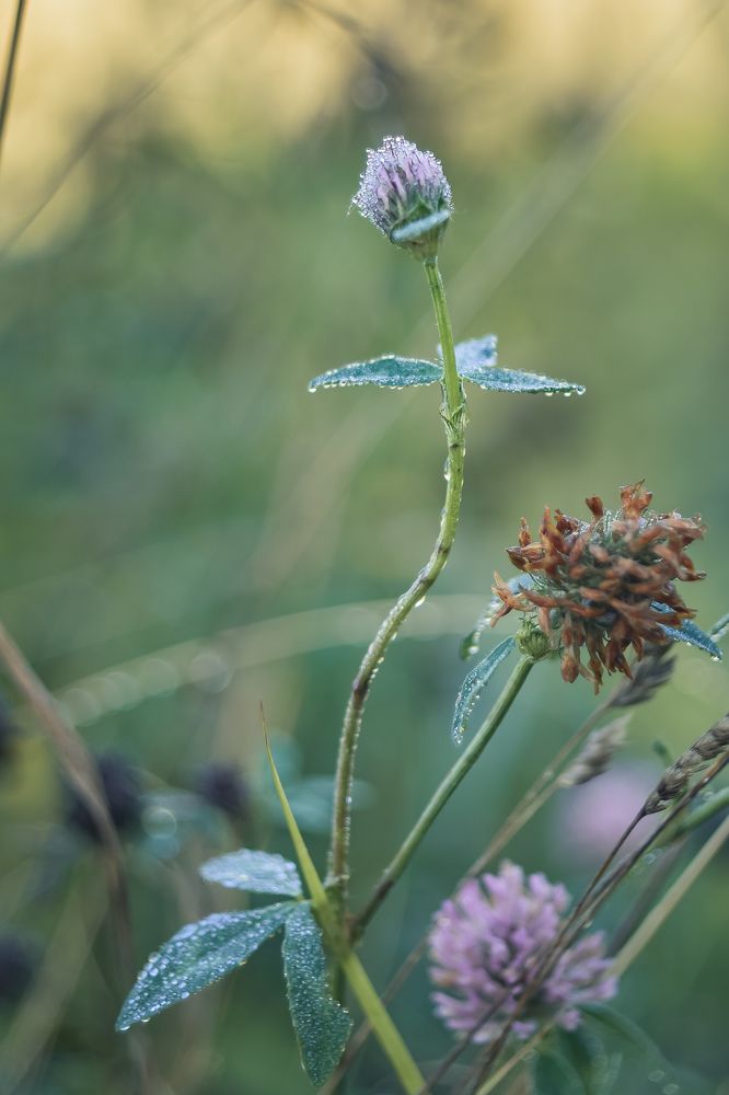 Photograph by Татьяна Сурова