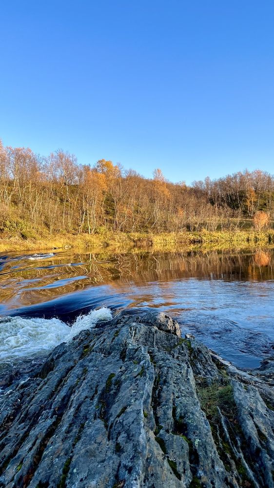 Photograph by Юлия Казимирова