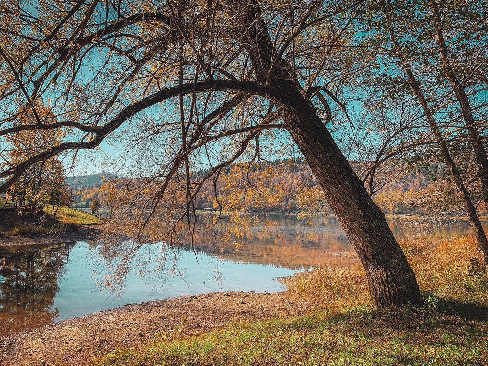 Photograph by Goran Grudic