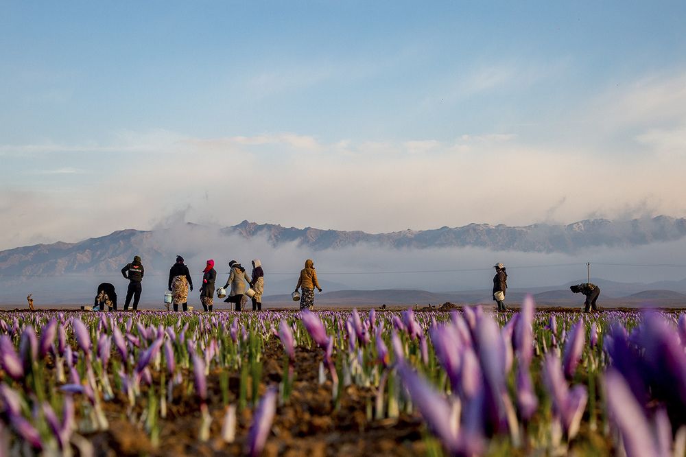 Photograph by seyed mostafa yousefi