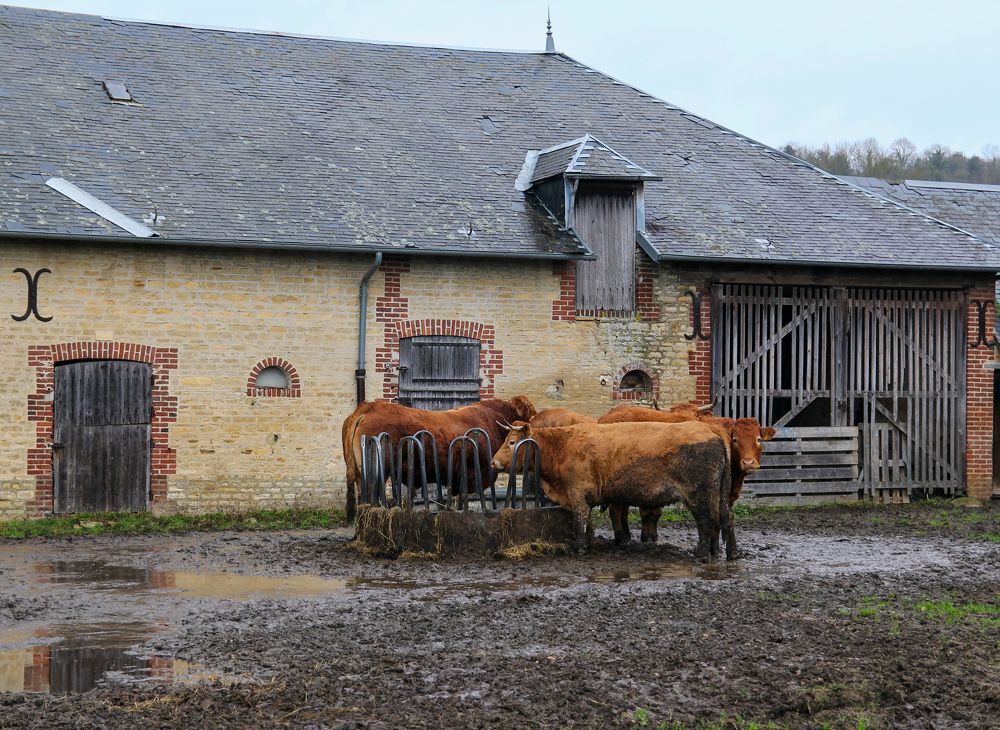 Photograph by Сергей Иванов