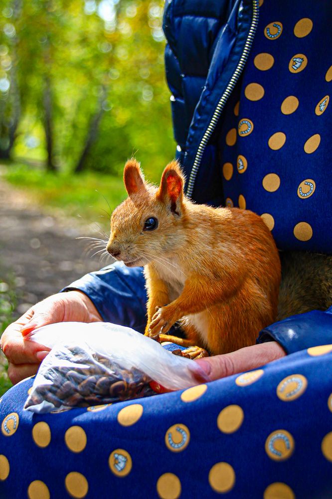 Photograph by Марина Ильева